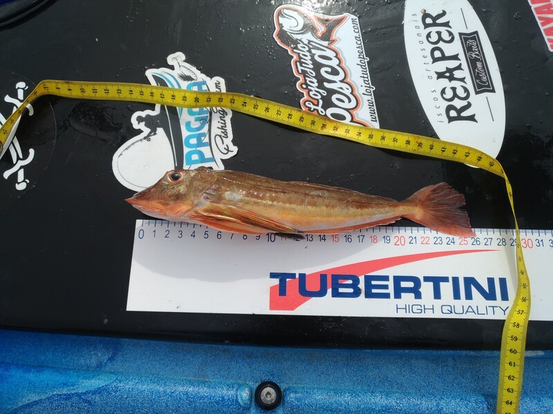 Fish Measure Picture